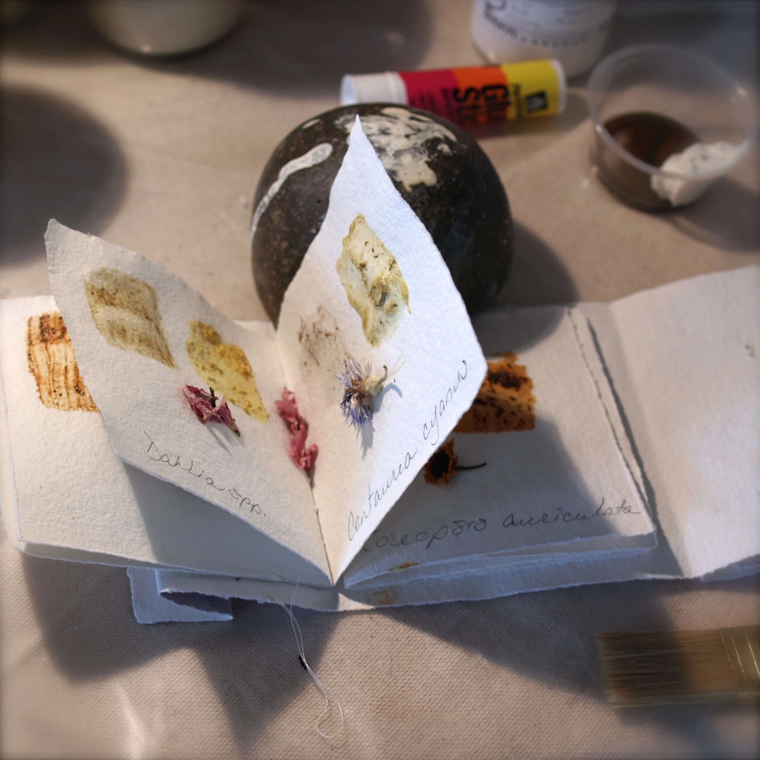 P2276565 - Version 6.JPG