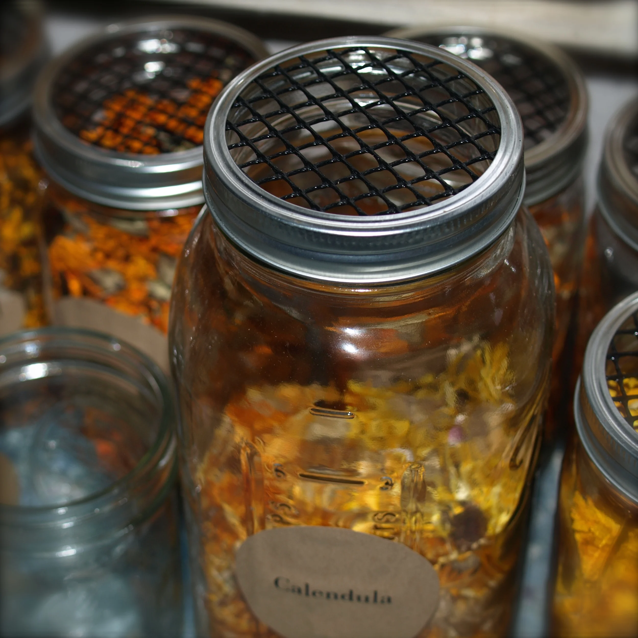 P2056220 - Version 3.JPG