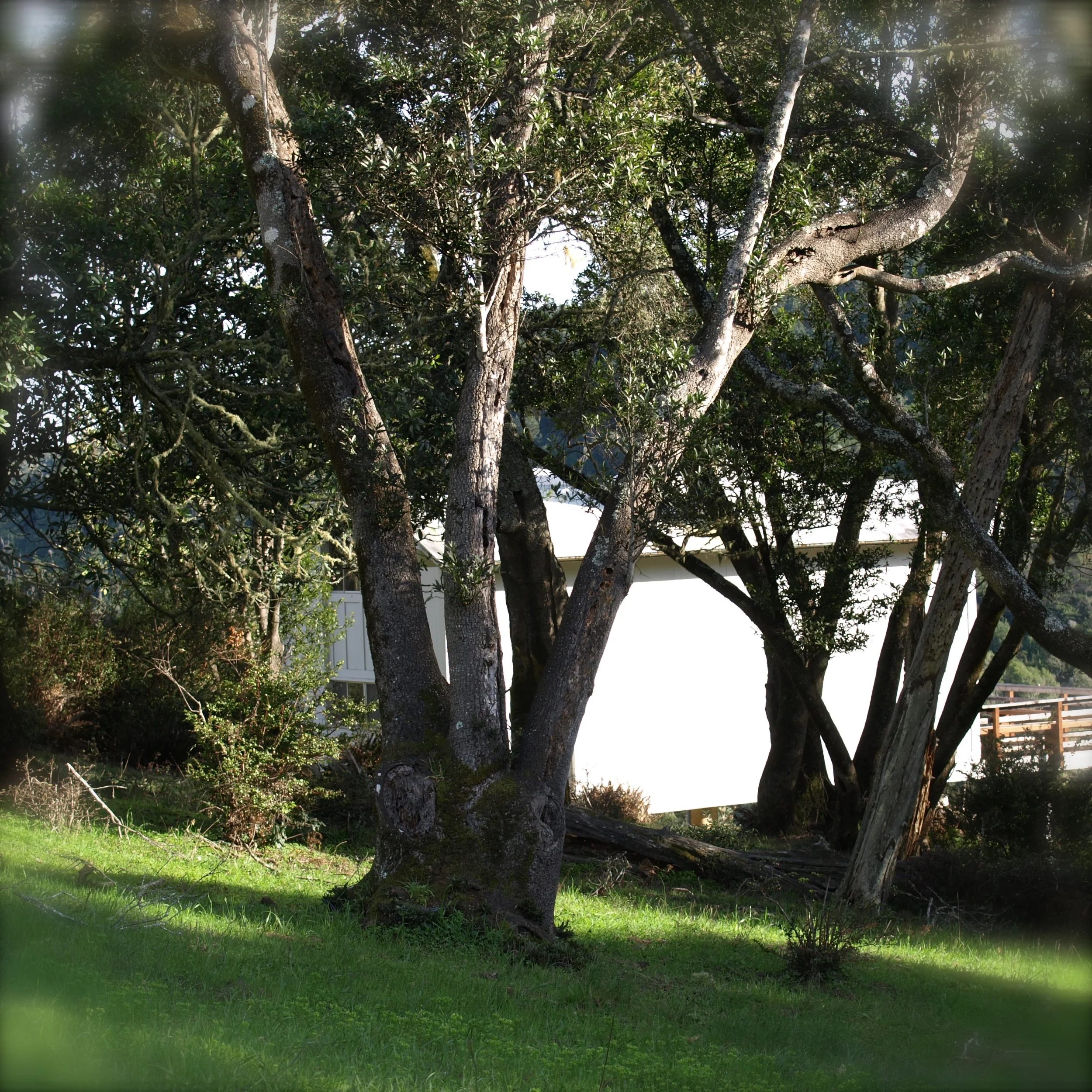 P2156471 - Version 2.JPG