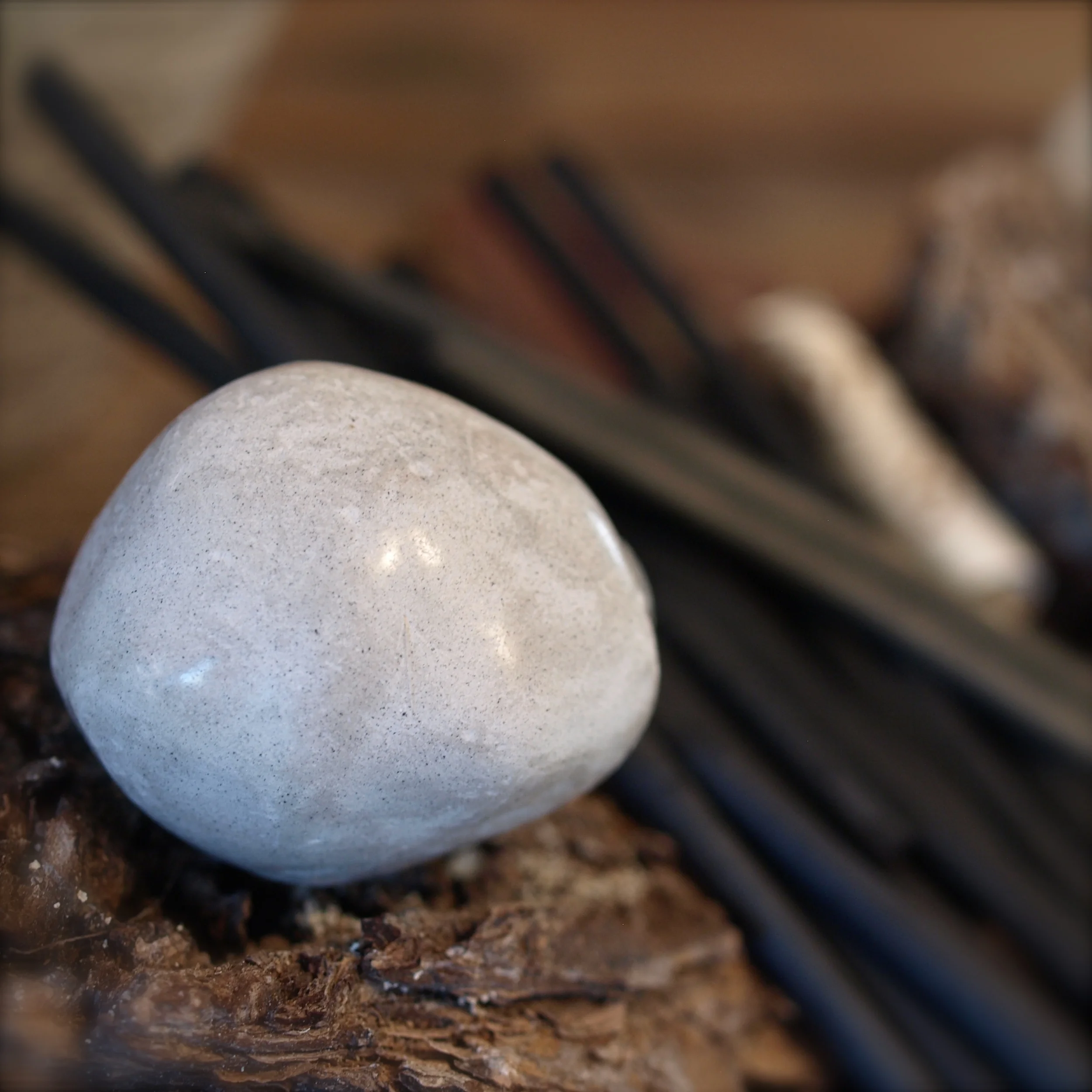 P2146445 - Version 2.JPG