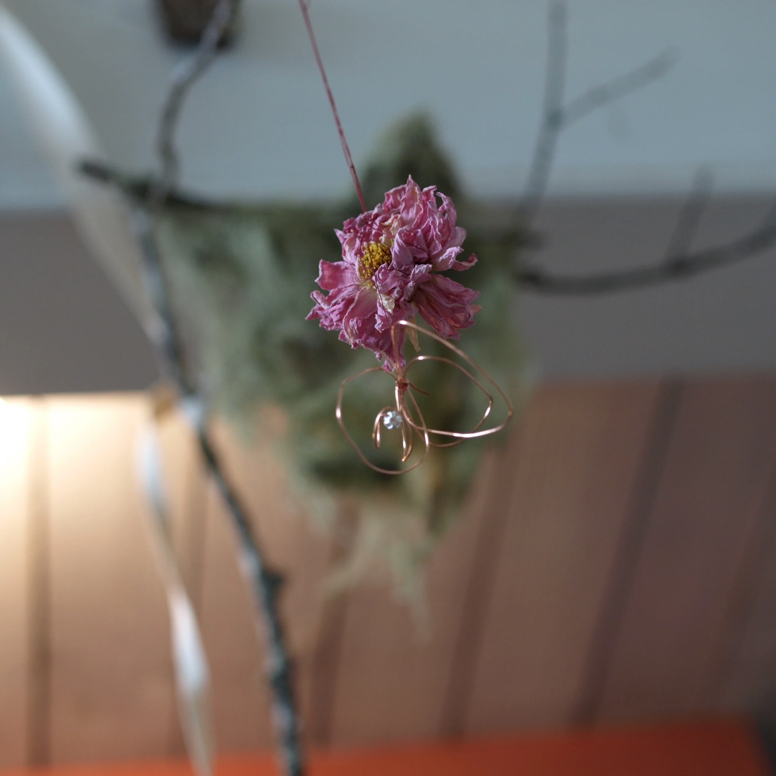 P2086310 - Version 2.JPG