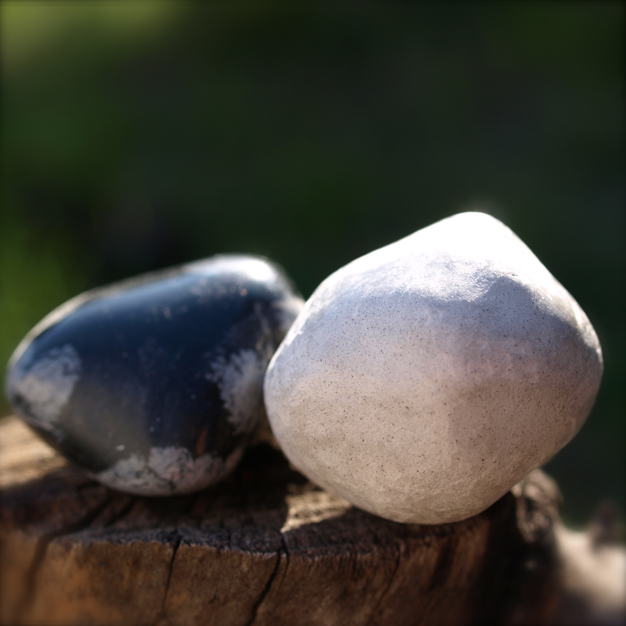 P2146441 - Version 2.JPG