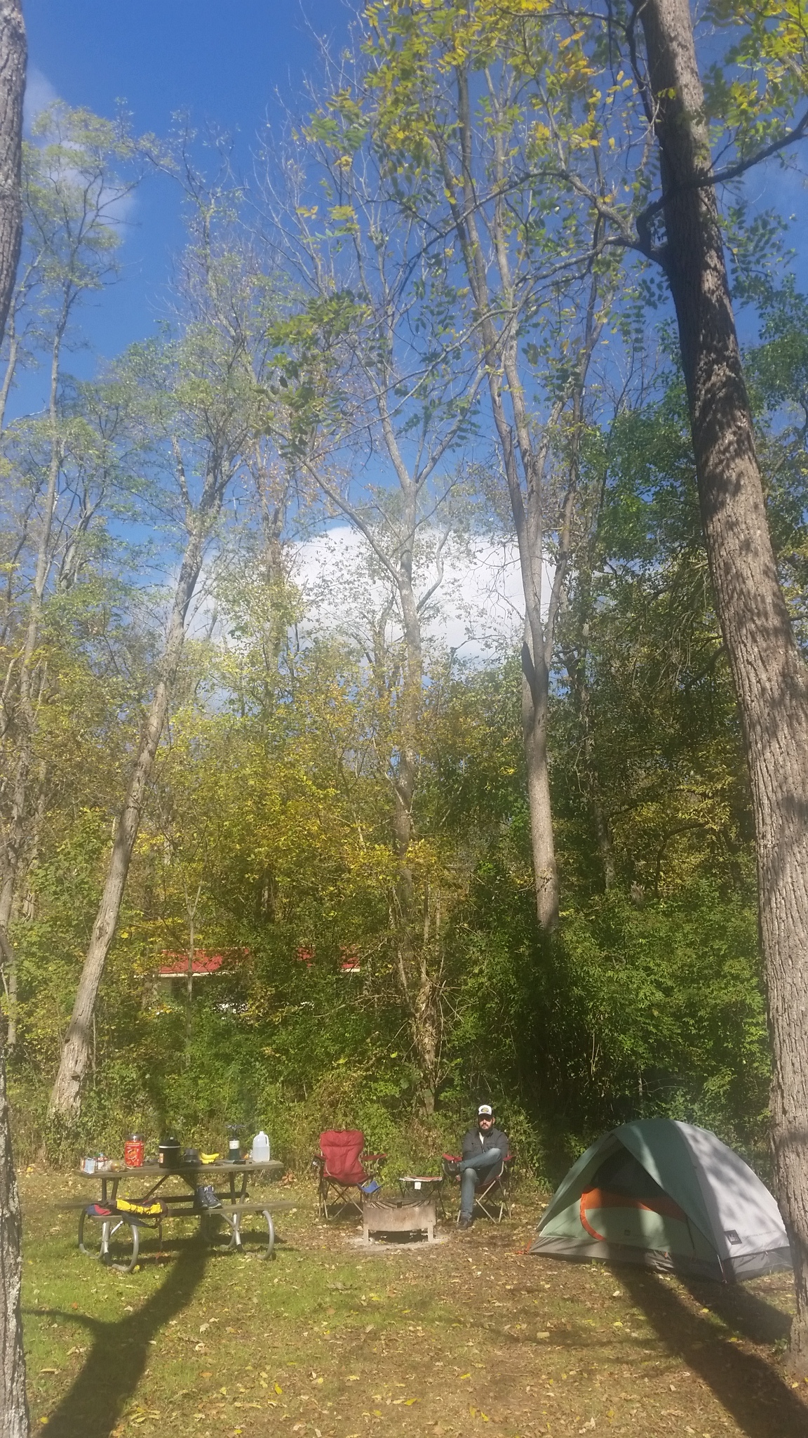 Our campground at Hueston Woods (10 minutes from Miami U)