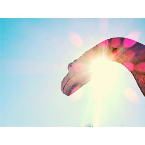 Dinosaurs in California