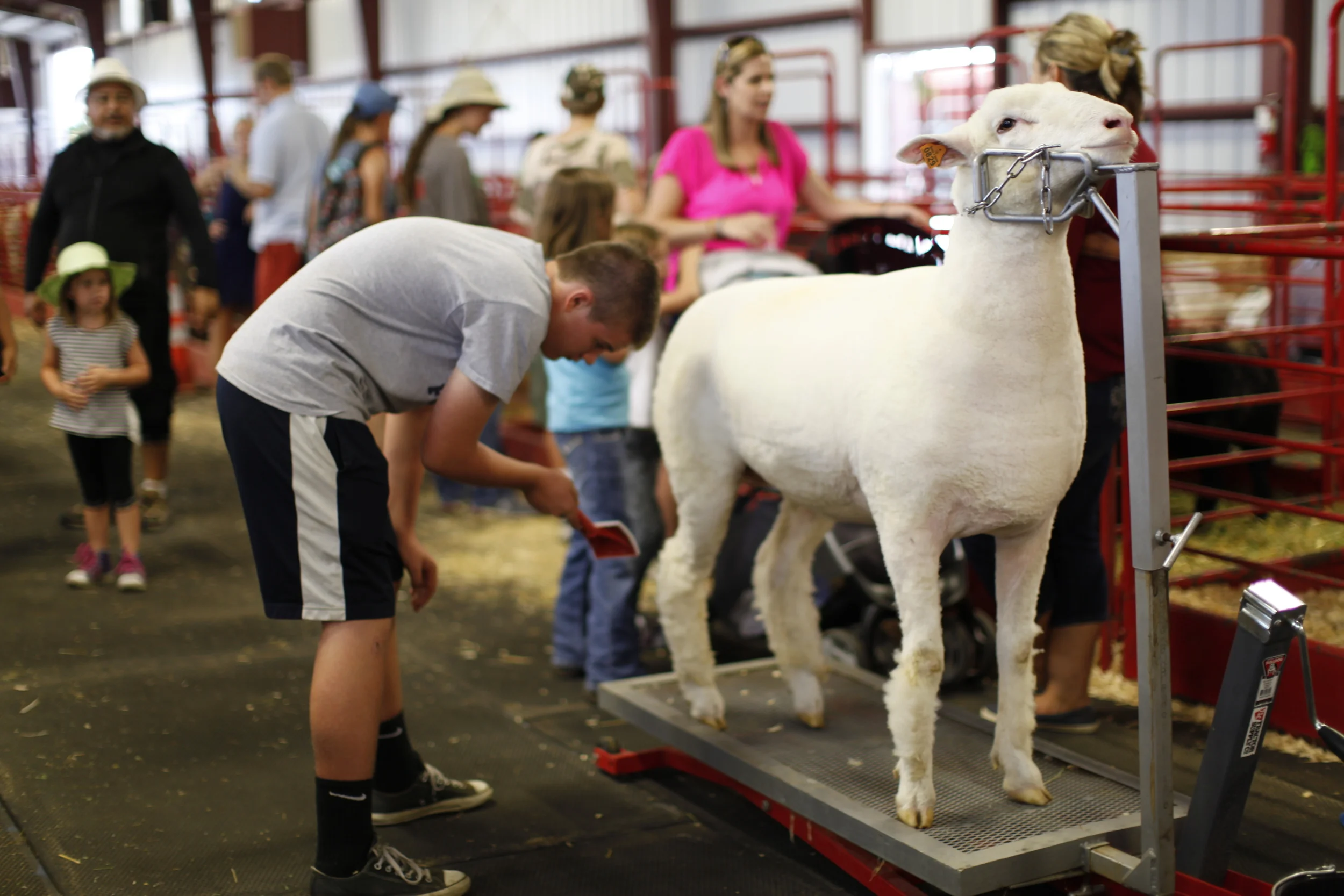  Yet another fair&nbsp; 