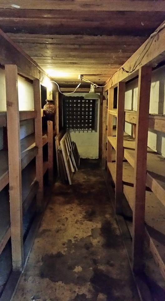 Cleaned Jenny's bomb shelter at her rented house for probably the first time since the 70's