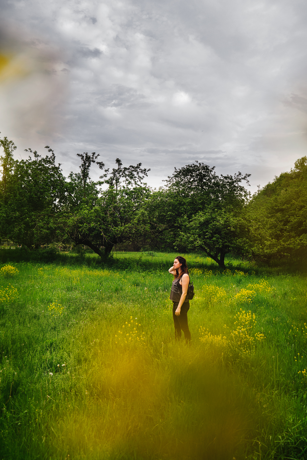 Wildflowers and Greenery