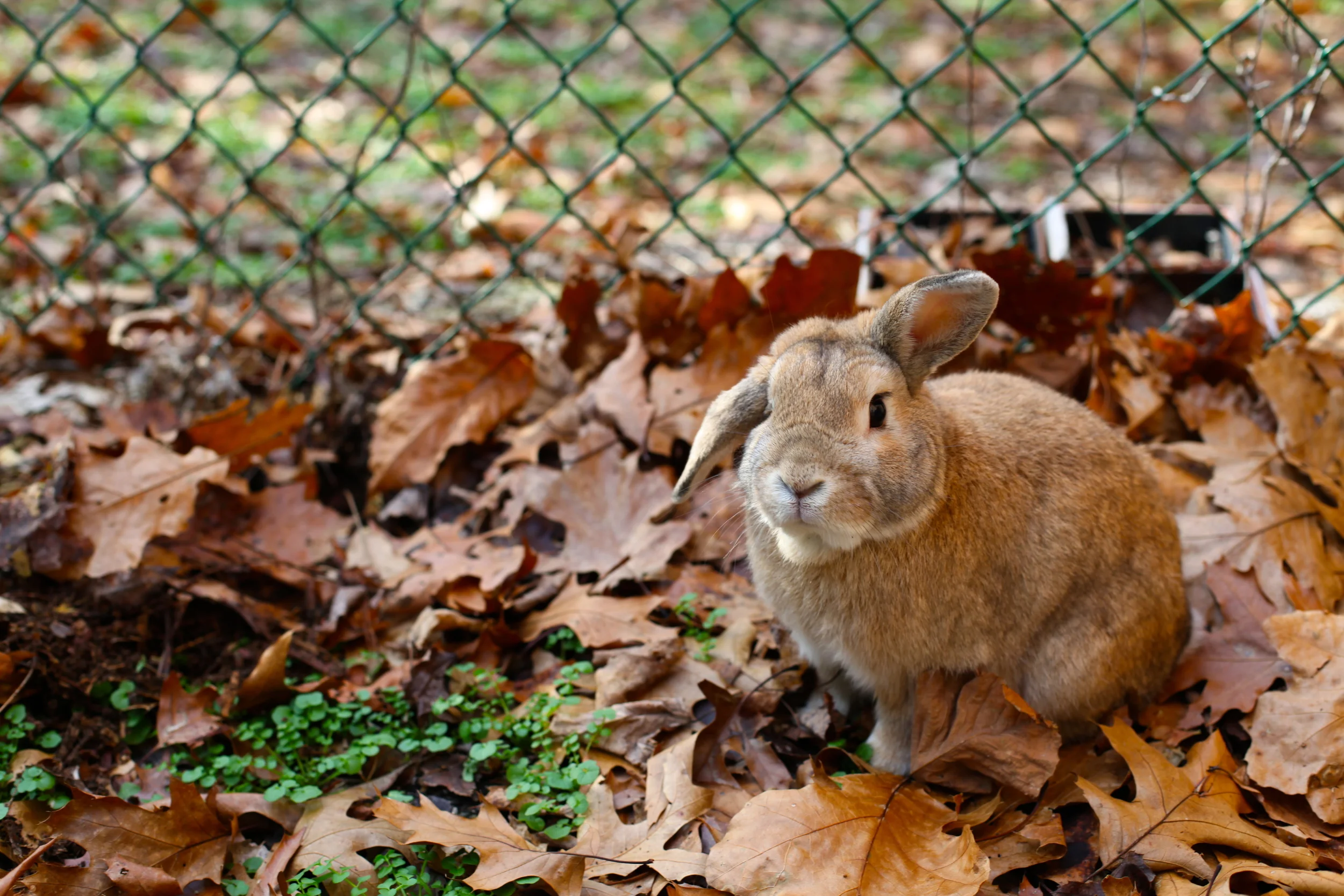 IMG_1765 - Version 2.JPG