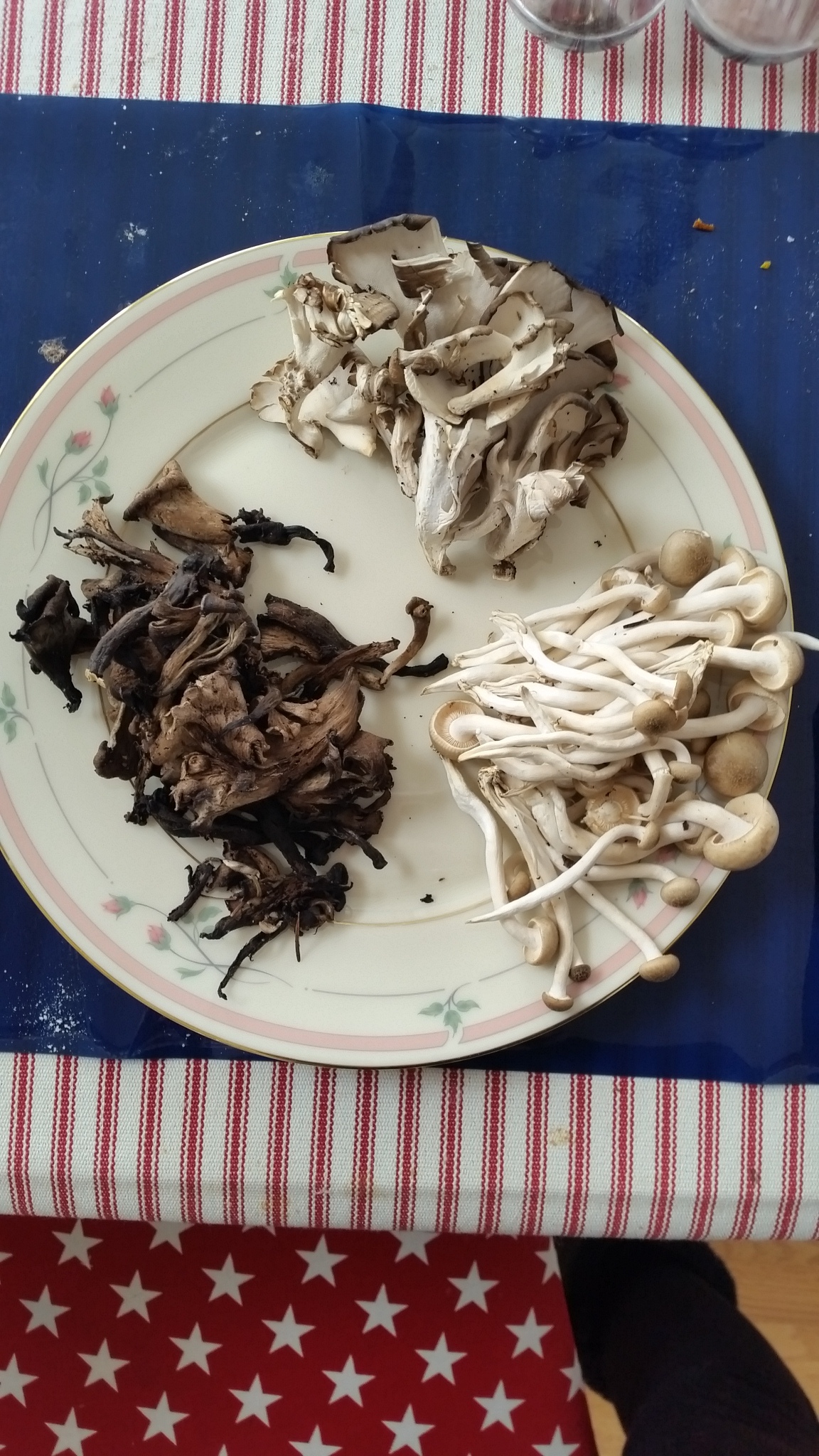 20160306_152608.jpg