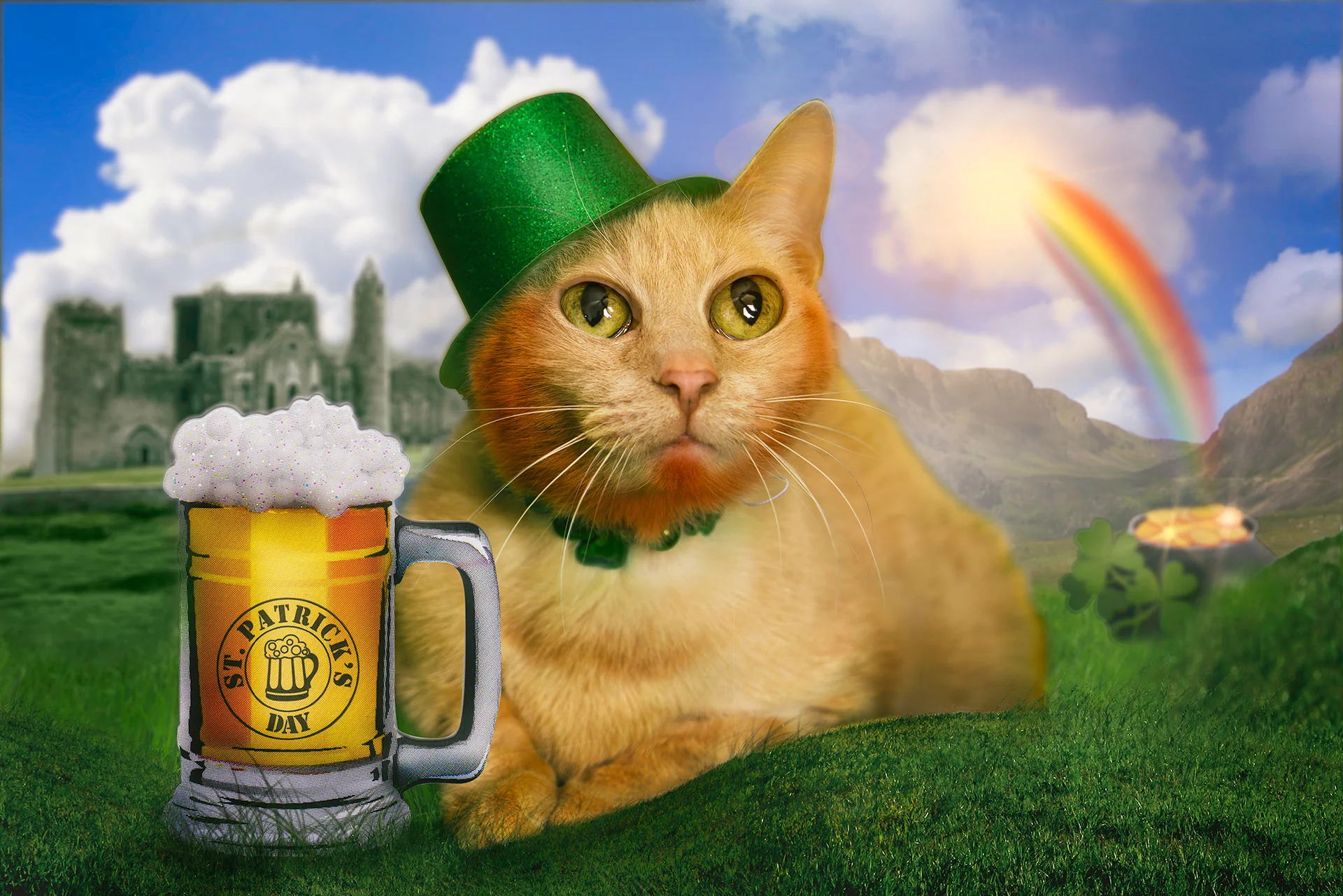 Kevin the Cat steals our hearts while we try to steal this leprechaun's gold. Everyone is a little Irish this St. Patrick's Day!
