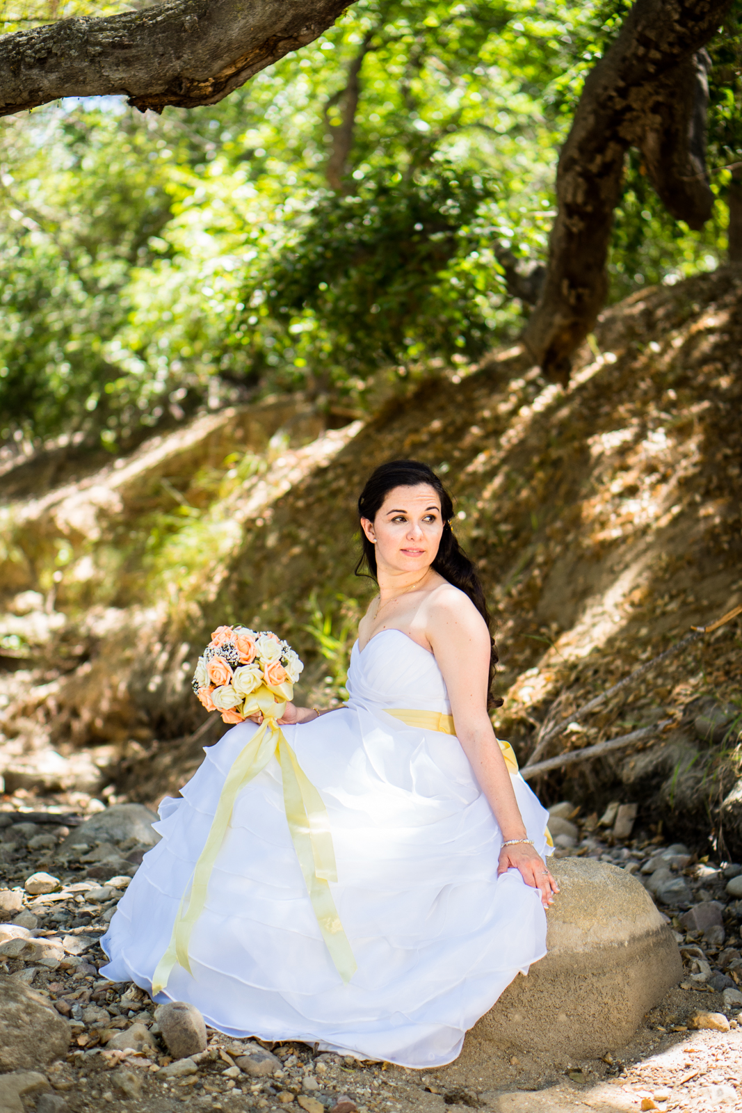 023 hughes_20150620__DSC6460.jpg