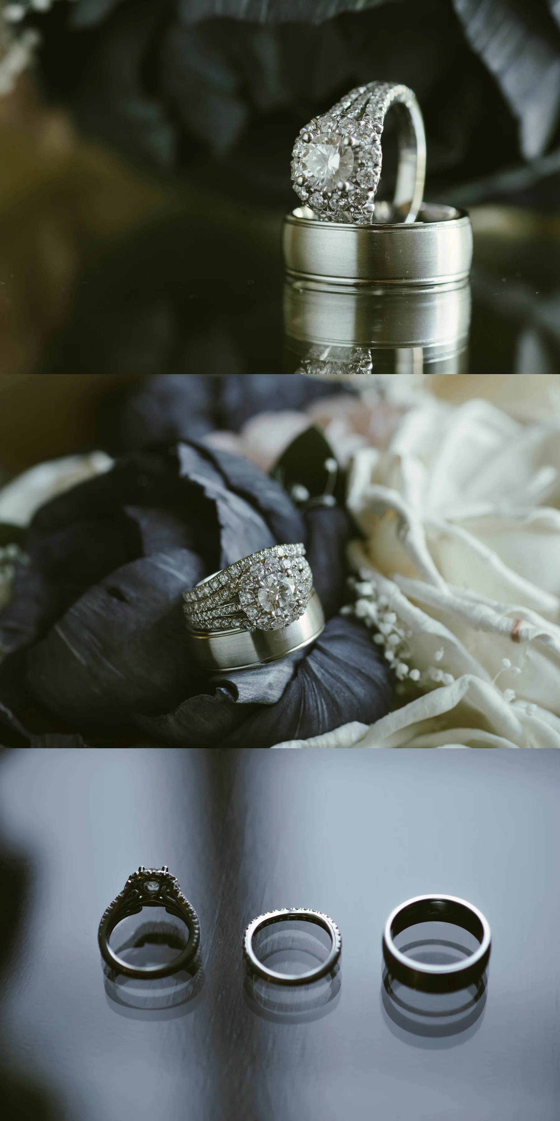 036 kaitlyn-colin-notre-dame-wedding.jpg