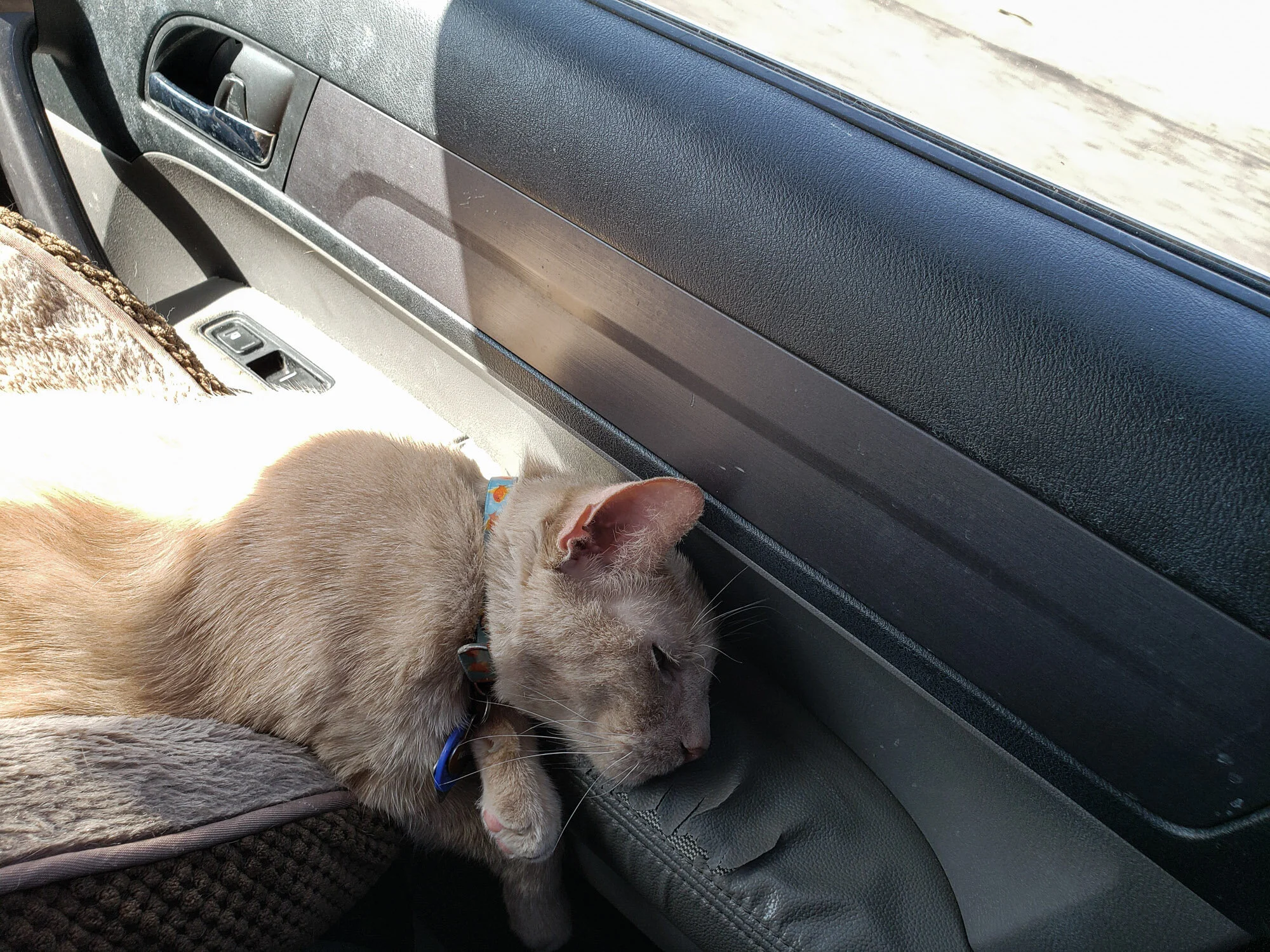 037 easter trip to az ca 2021 .jpg