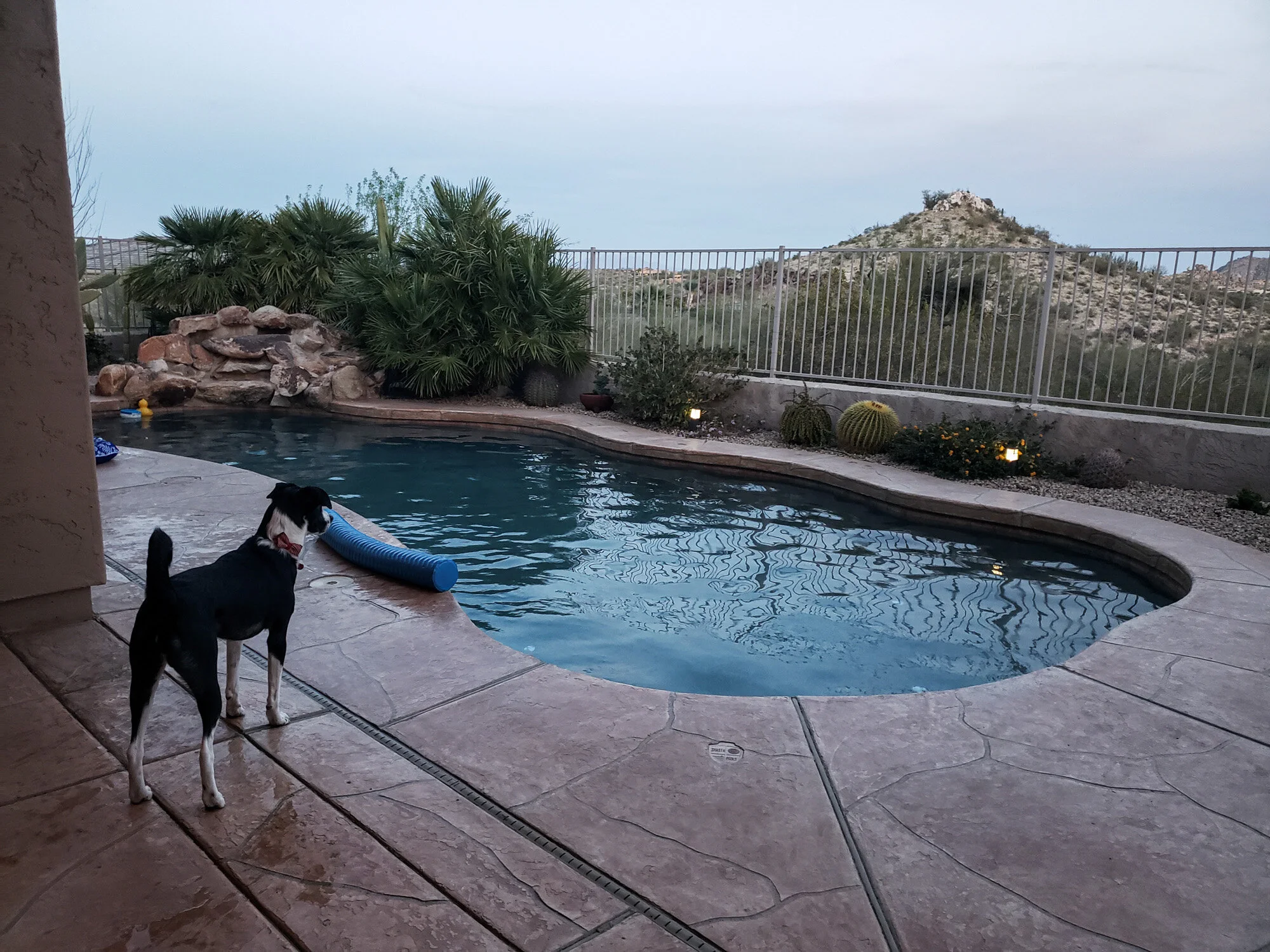 046 easter trip to az ca 2021 .jpg