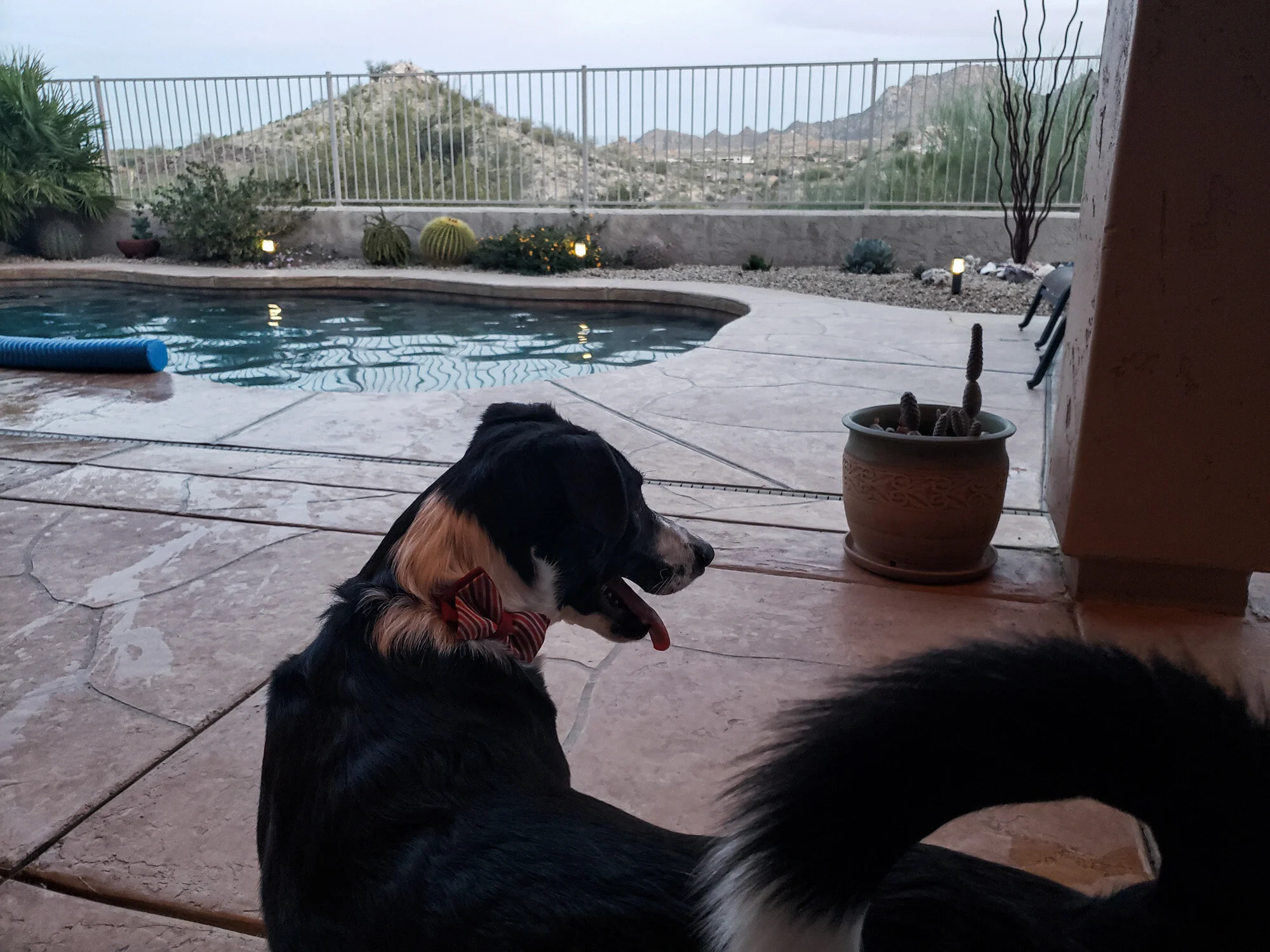 048 easter trip to az ca 2021 .jpg