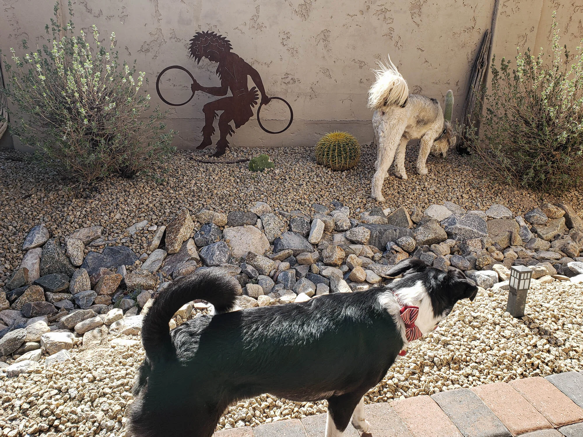 053 easter trip to az ca 2021 .jpg