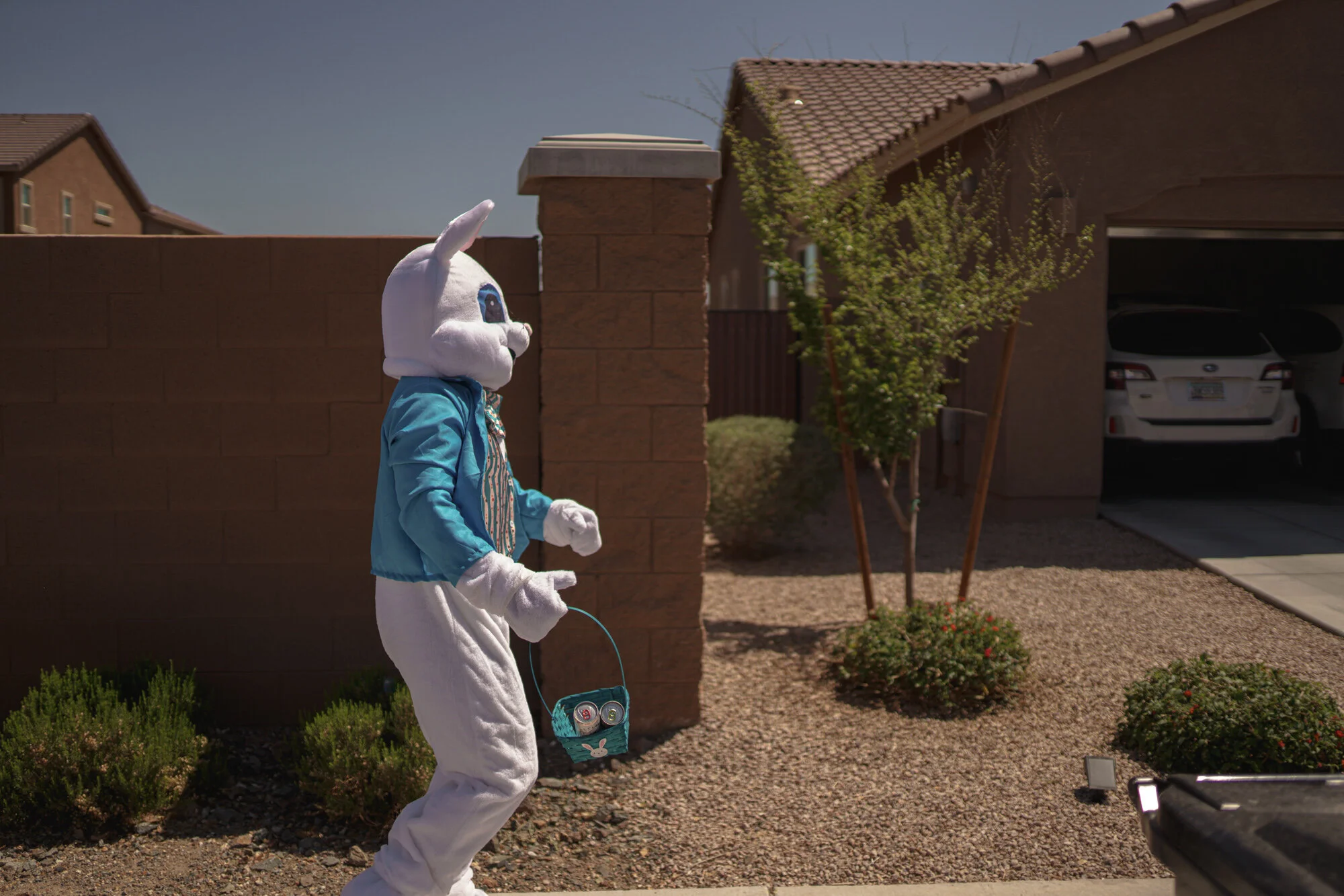 263 easter trip to az ca 2021 .jpg