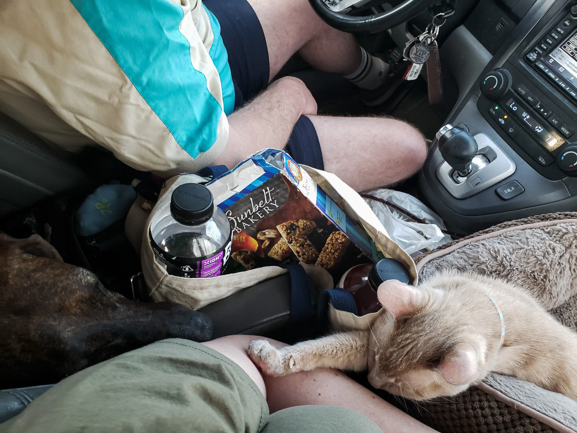 353 easter trip to az ca 2021 .jpg