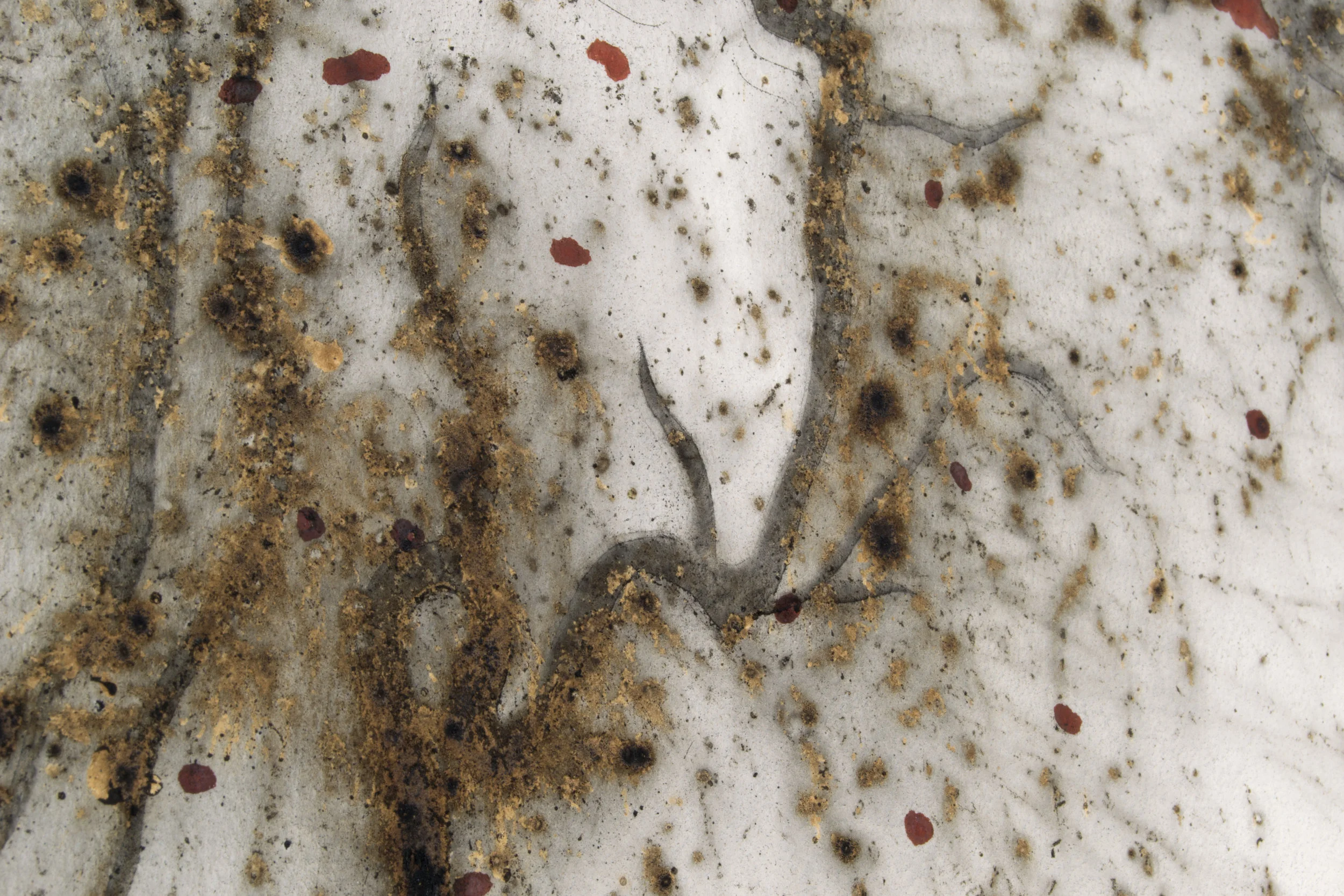 Confluence (detail). Gunpowder and watercolor on paper (101" x 62"). 2017. Photograph by Lauren Bina.