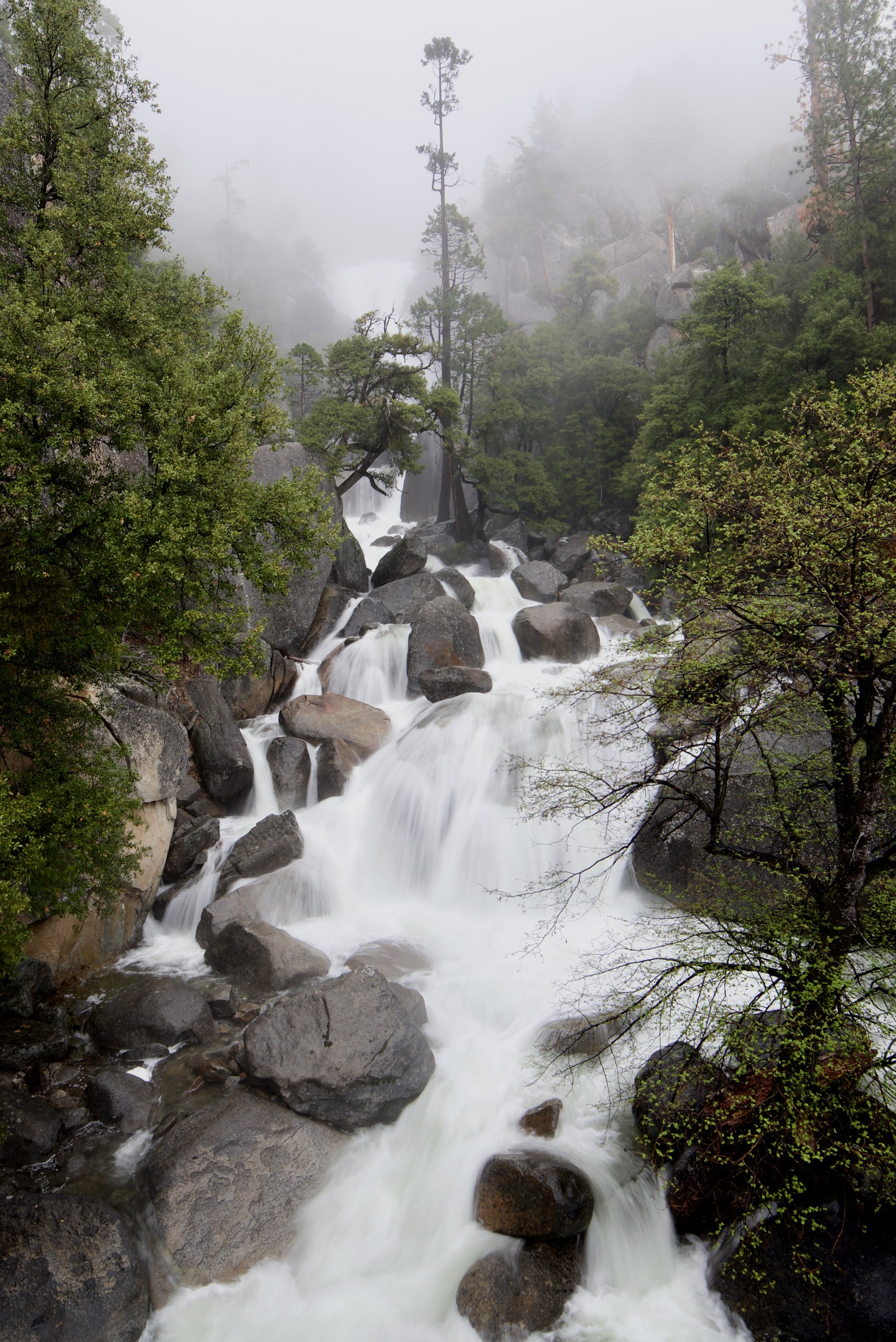 AW1_1490.jpg
