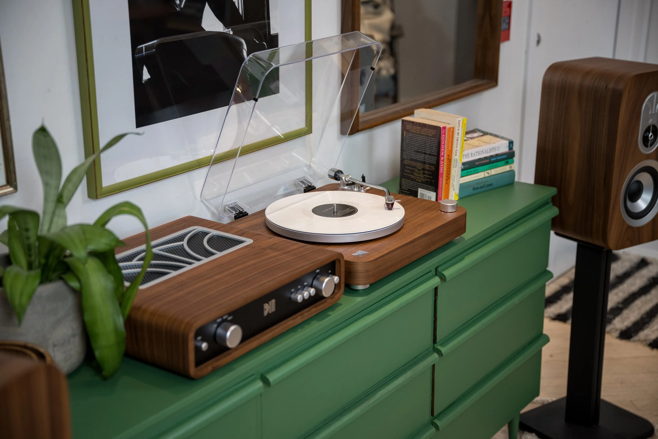 Dum Audio - Toronto Loft  (11).jpg