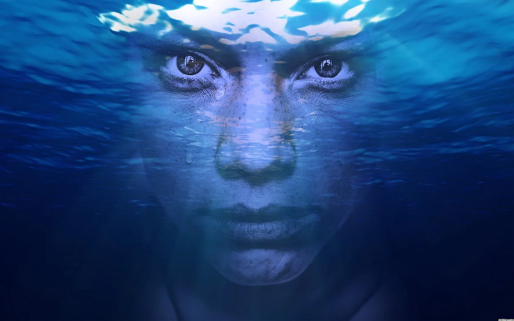 Image Designed By Chloe Glass