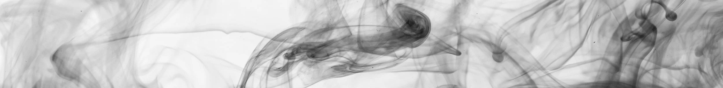 AdobeStock_105098051.jpeg