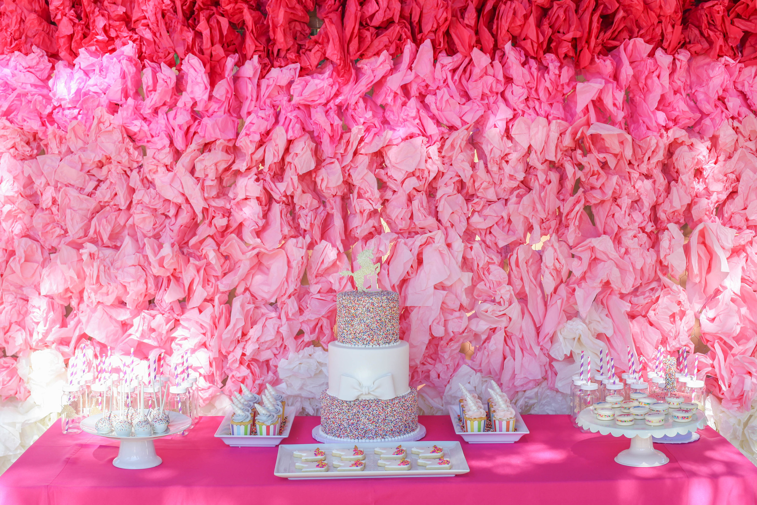 See that fabulous back drop?!? It is made out of chicken coop and 100's of sheets of tissue paper!!! It was so easy, and made a HUGE statement!!!