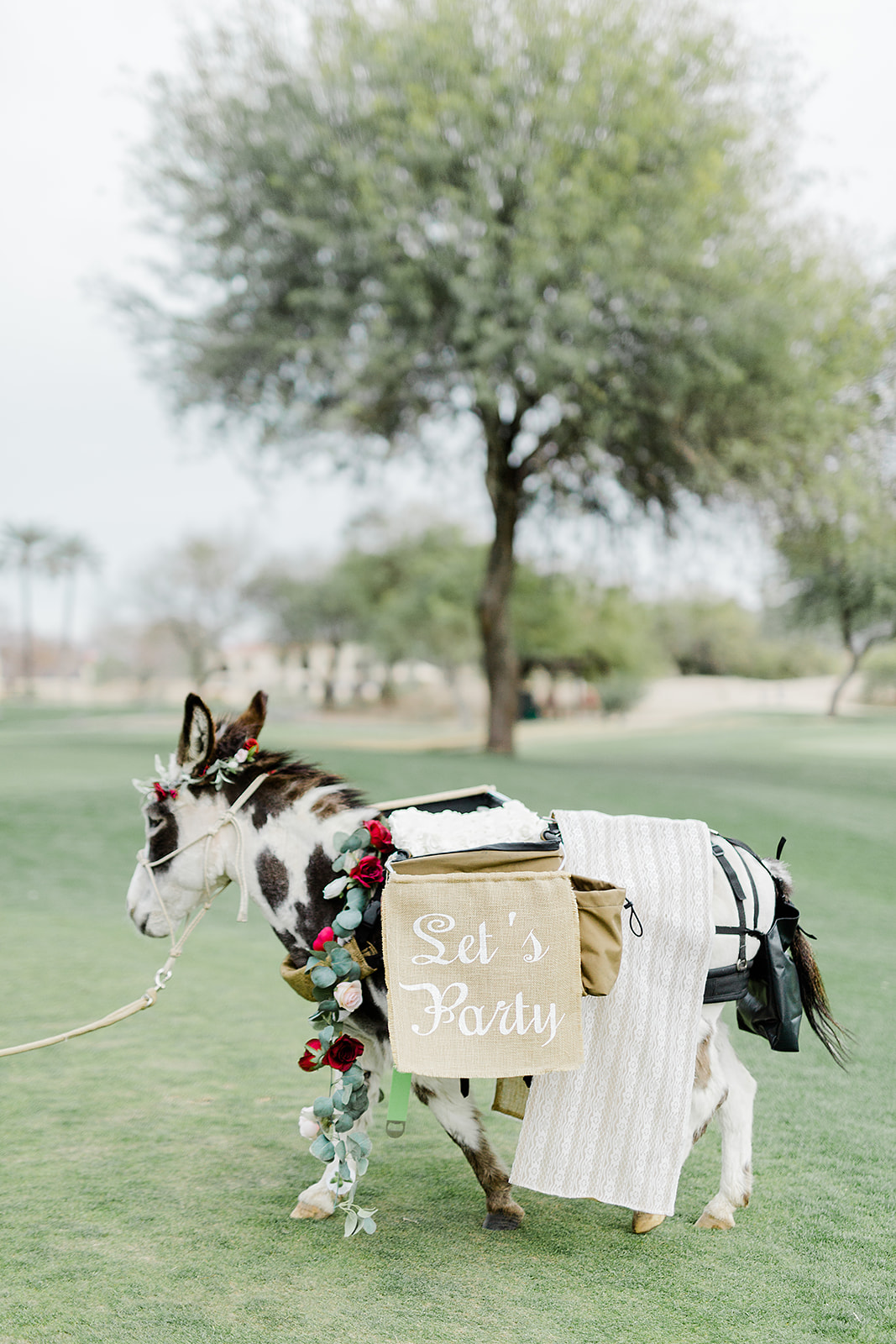 Jen_and_Ryan_Legacy_Wedding-Andrew_and_Ada_Photography_2019-861.jpg