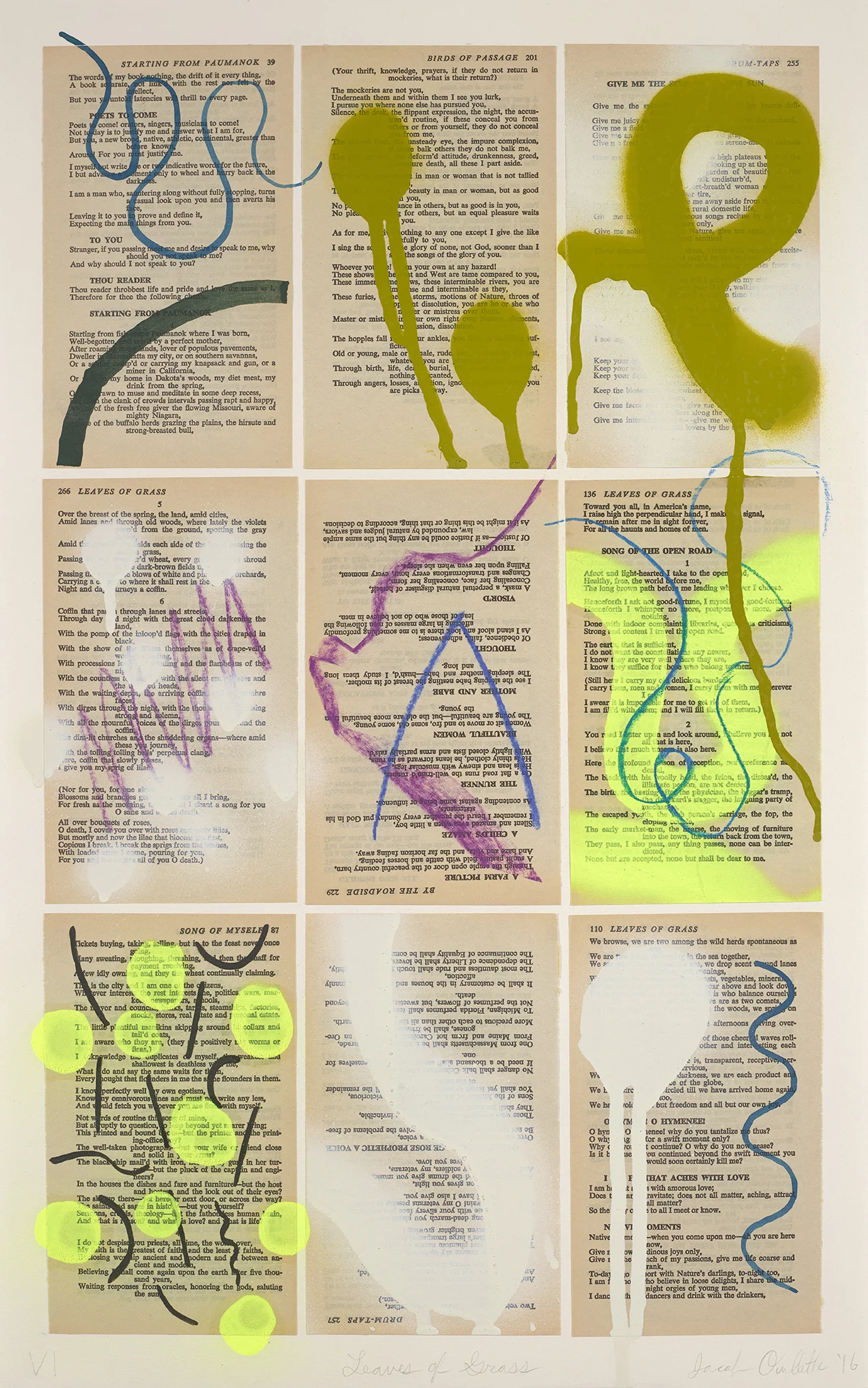 Leaves of Grass VI 2016