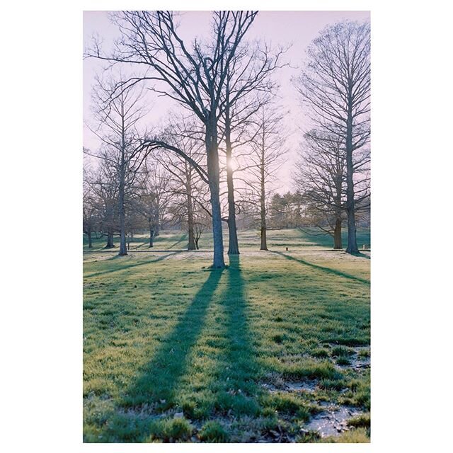 Spring Sunset in Francis Park

Fujica GL690 | Fujinon 65mm | Portra 800