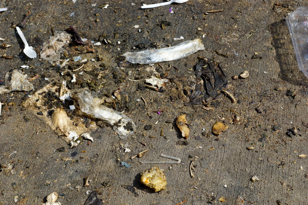 bones_spoons72.jpg