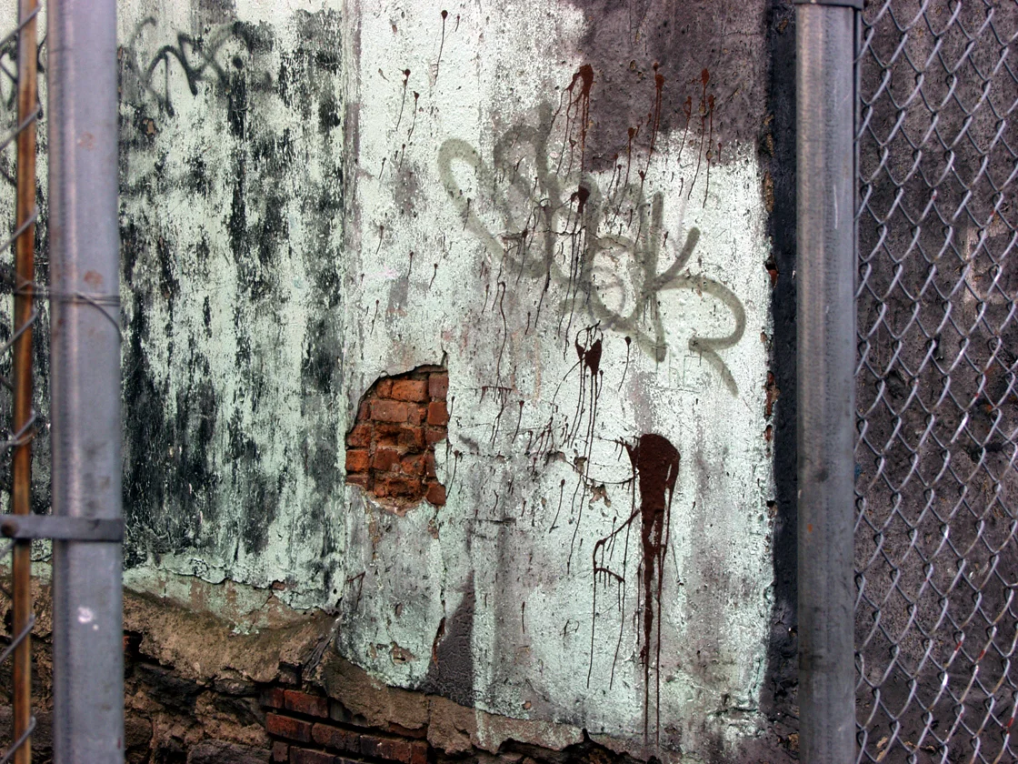 green_wall.jpg