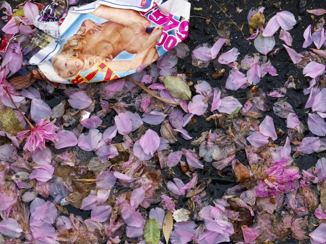 petalos_porno72.jpg