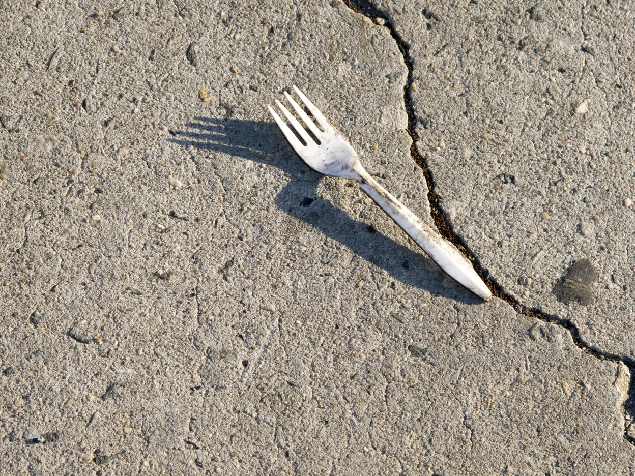 fork.jpg
