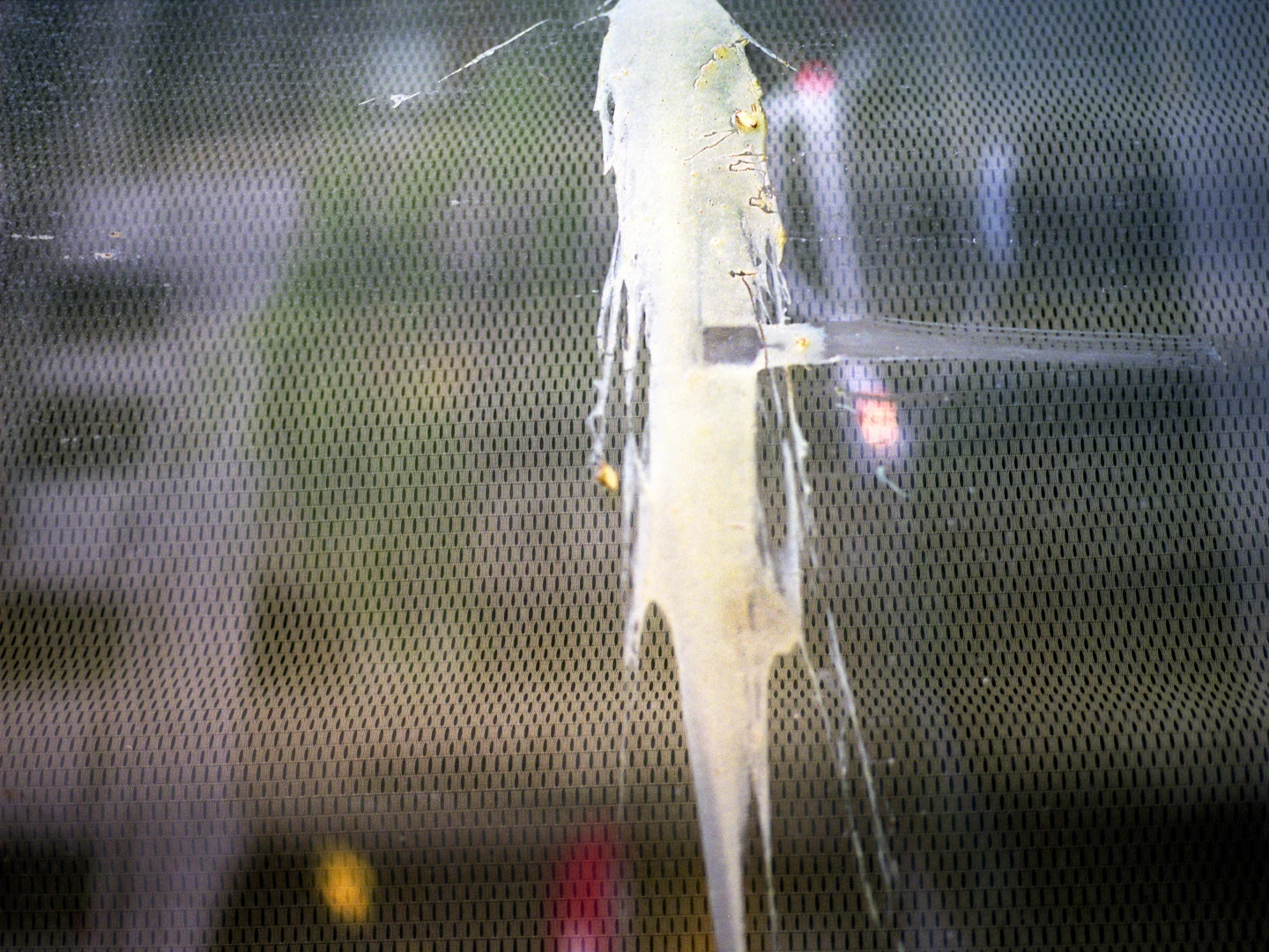 splash.jpg