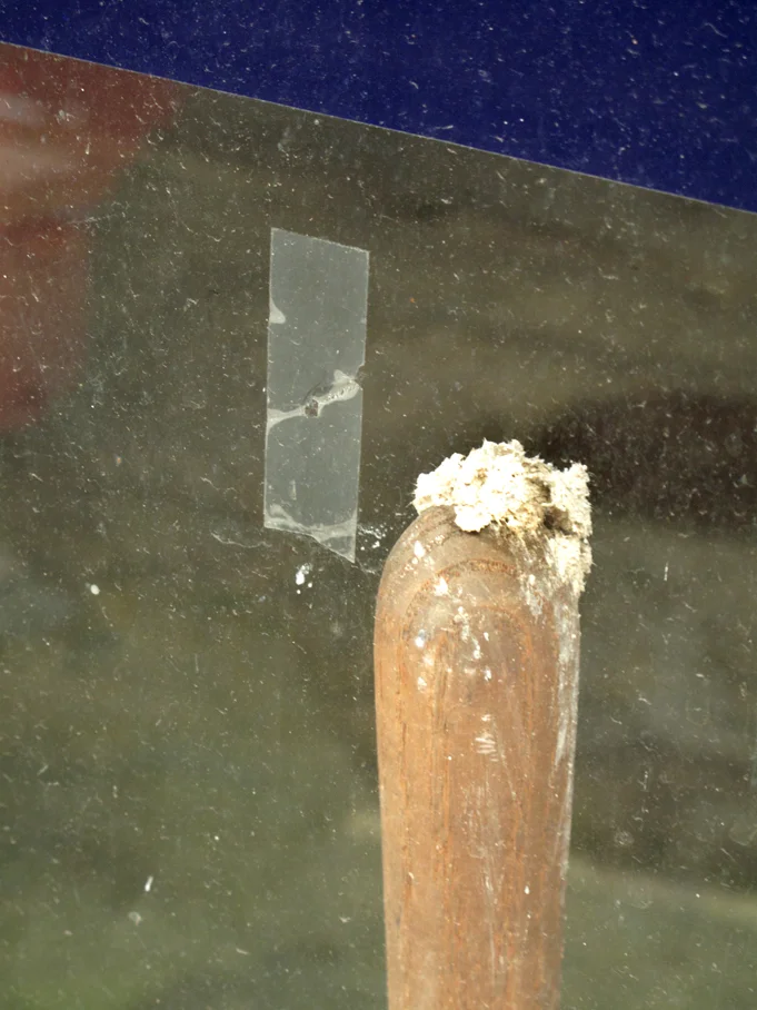 pala_polvo2009_72.jpg