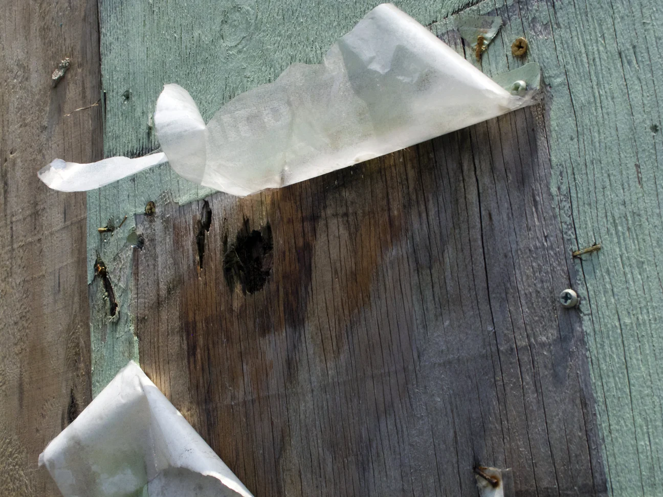 paper_onwood.jpg