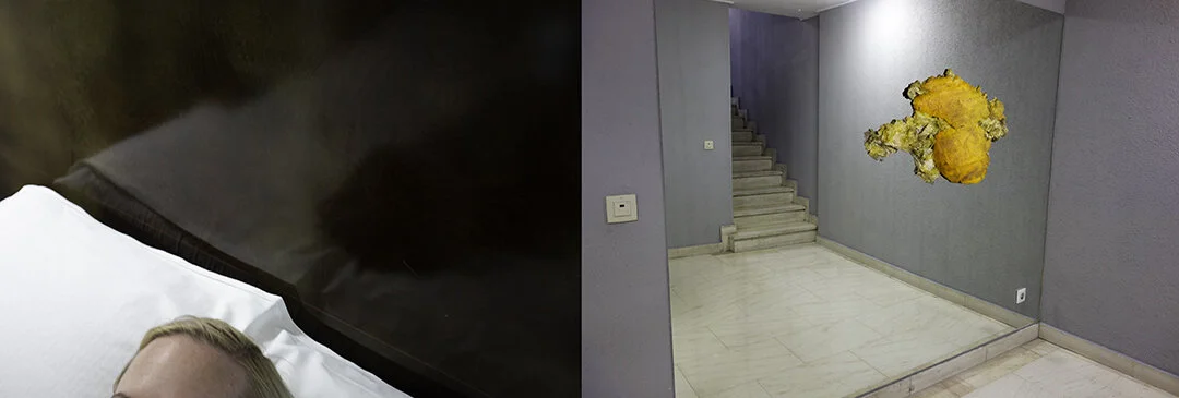 reflejo_a_Final_Fweb.jpg