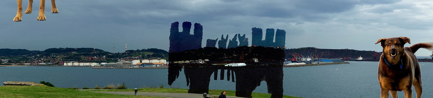 perros_gijon_F72.jpg