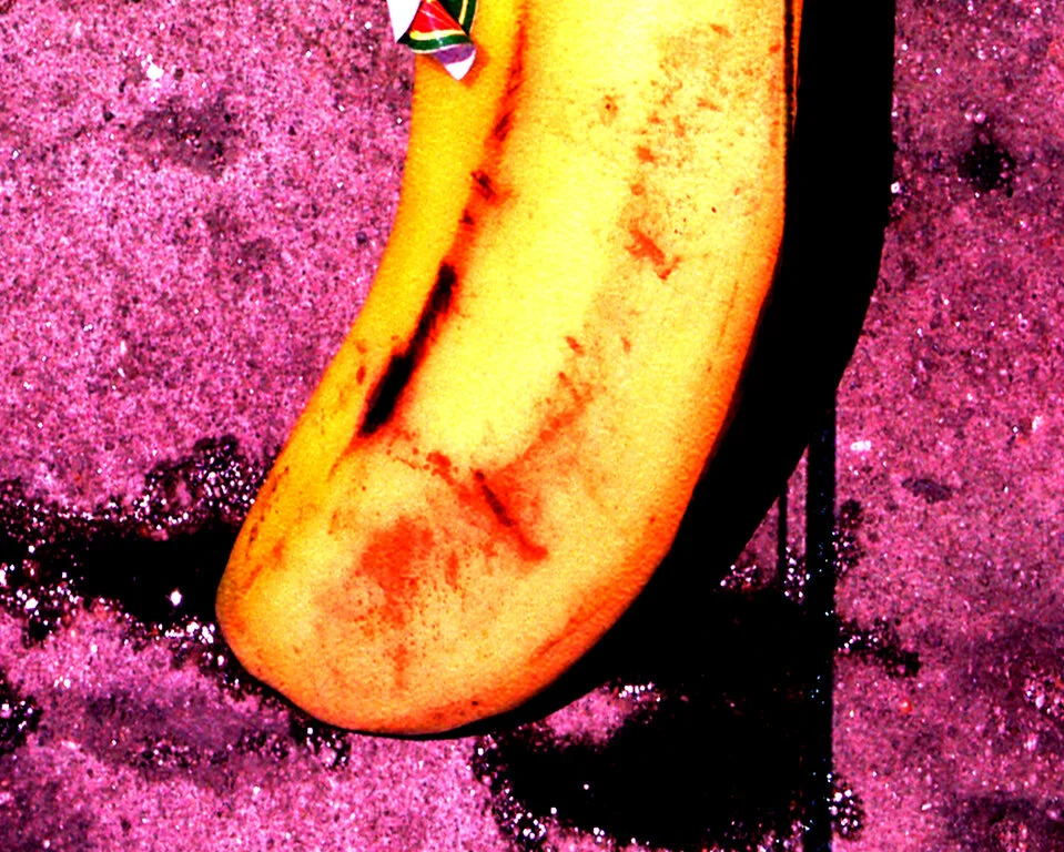 food_14.jpg