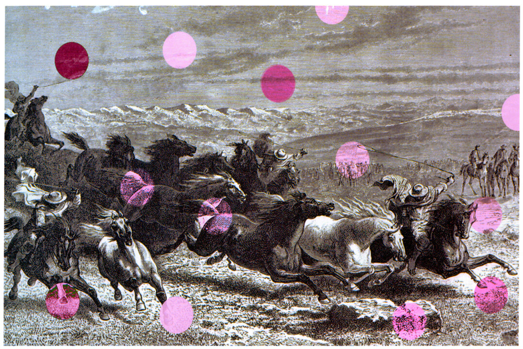 horses_b.jpg