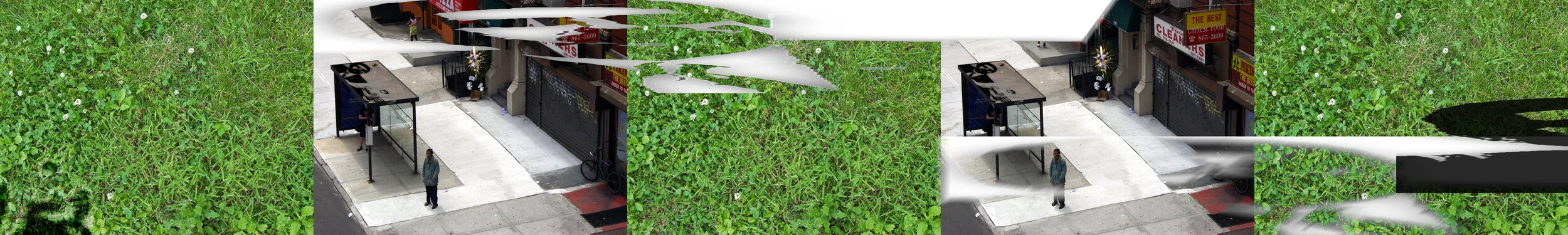 sidewalk_grass_new_f.jpg