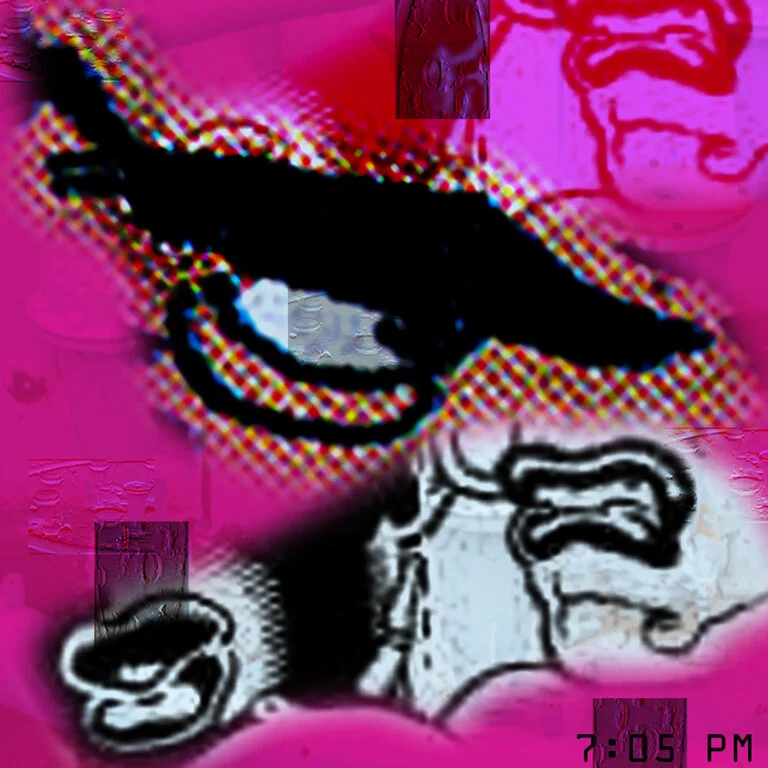 ojo_20_f.jpg