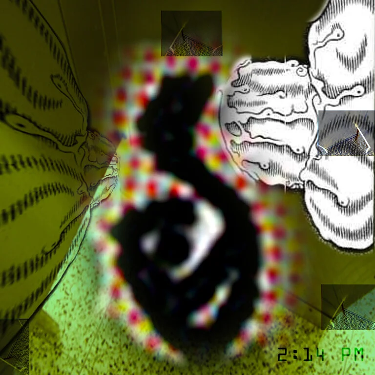 ojo_10_f.jpg