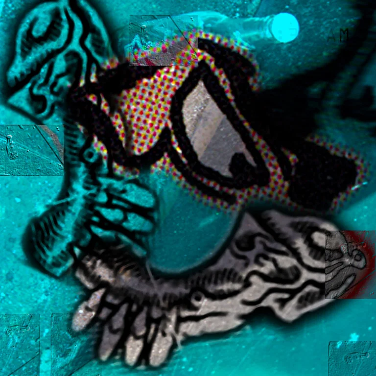 ojo_15_f.jpg