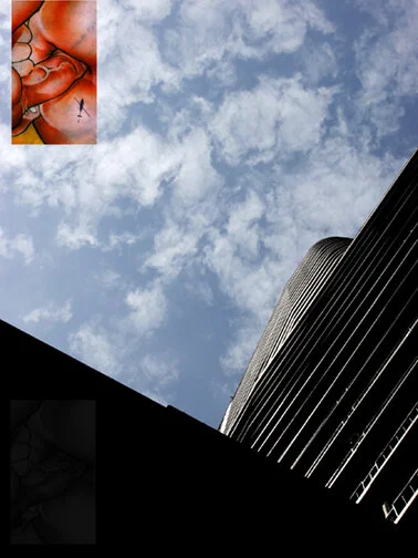 imagen_10_f72.jpg