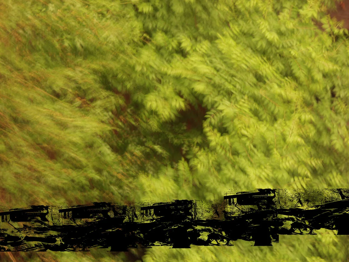 middle_left72.jpg
