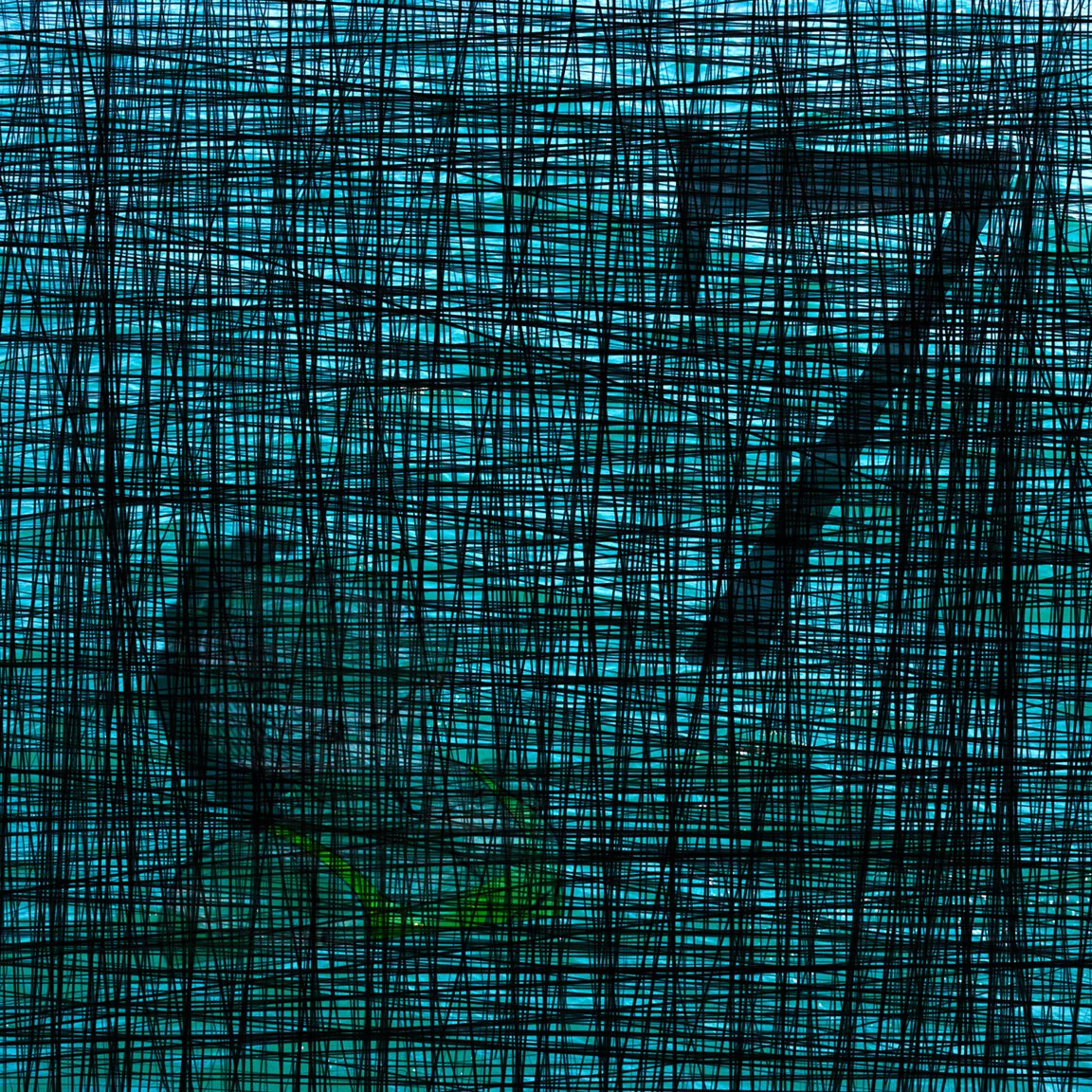 siete_f72.jpg