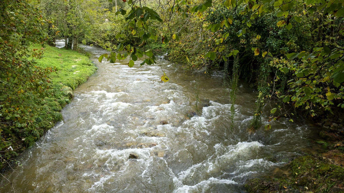 arroyo_mingo72.jpg